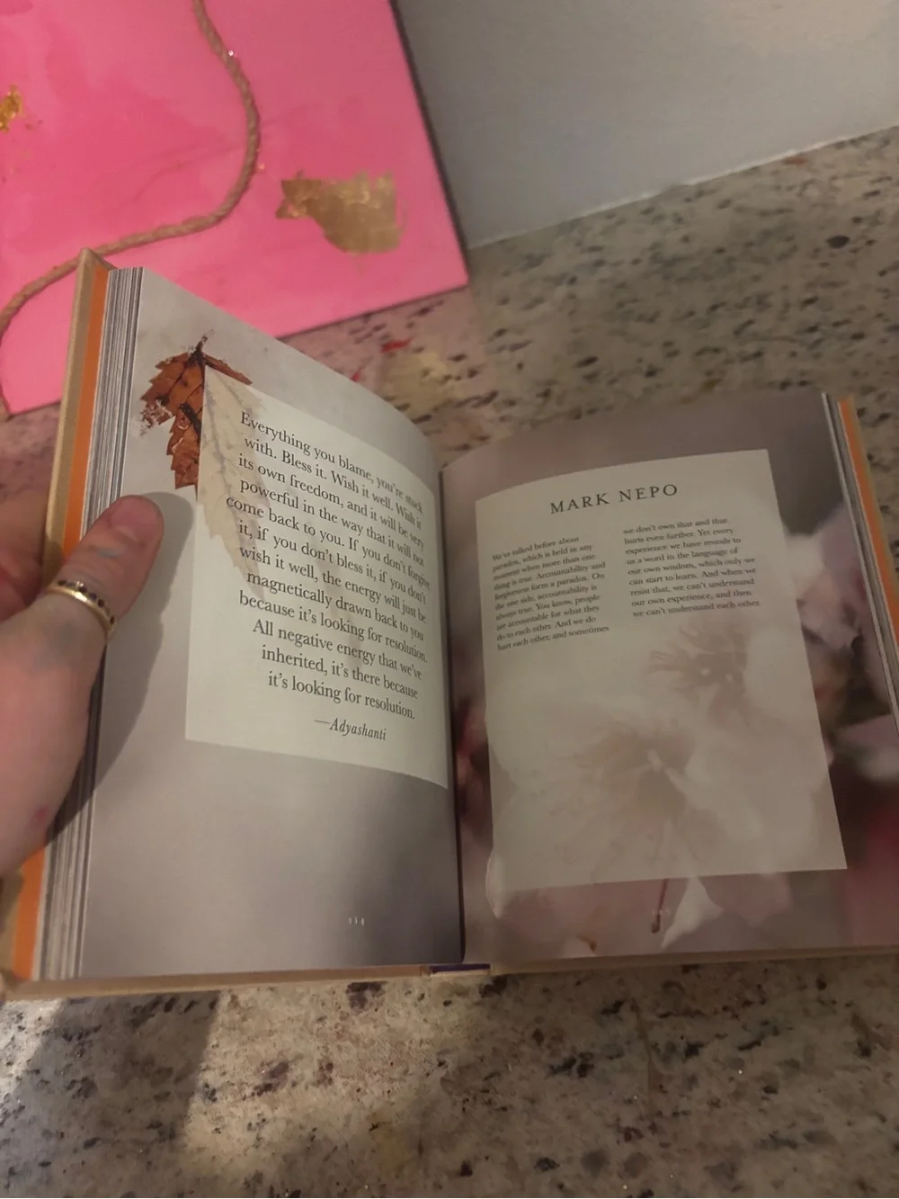 Beige Decorative Book Box - The Wisdom of Sundays